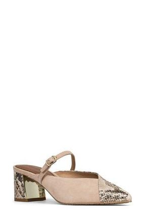 Donald J Pliner Pointed Toe Mule in Sand at Nordstrom Rack, Size 7.5