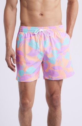 Chubbies The Posh Palms 5.5-Inch Swim Trunks in Bright Orange at Nordstrom, Size Xxx-Large
