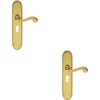Loops 2x PAIR Beaded Pattern Handle on Euro Lock Backplate 249 x 50mm Polished Brass in Metallics