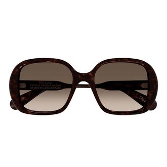 Chloé Sunglasses