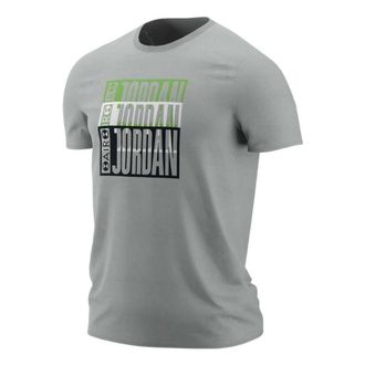 Nike Jordan Air Jordan 3 Tinker T-Shirt Grey BQ0267-019