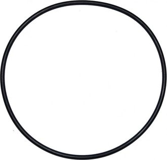 AquaLuxBad Junta T&oacute;rica De 180 Mm De Di&aacute;metro Para La C&uacute;pula Del Filtro Ardeche (d.205 Mm)