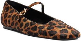 Arezzo Tori Genuine Calf Hair Mary Jane Flat in Leopard Calf Hair at Nordstrom, Size 8.5