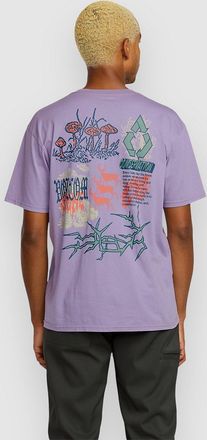 Volcom Stone Matter T-Shirt