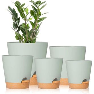 OEM Macetas De Pl&aacute;stico Con Autorriego Y Orificio De Drenaje, Ideales Para Plantas De Interior, Suculentas, Sansevierias, Violetas Africanas Y Cactus - Ve