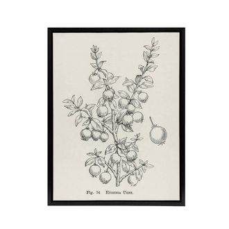 Artery8 Fruit Growers Guide Chilean Guava Wright Framed Canvas Wall Art Print in White | Size: W24 x H32