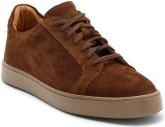 Bruno Magli Magnifico Low Top Sneaker in Tobacco Suede at Nordstrom Rack, Size 11.5