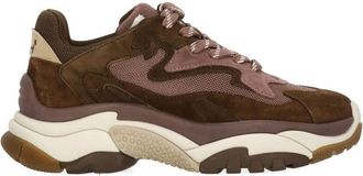 Ash Brown Addict Suede Mesh Sneakers