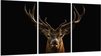 OEM Placa Protectora De Vidrio Para Estufa 3x30x52