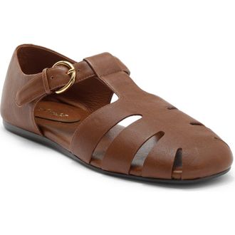 Jeffrey Campbell Theorize Sandal in Tan at Nordstrom, Size 8.5