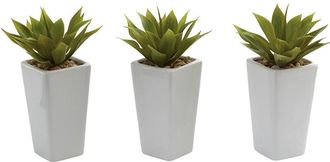 Nearly Natural Set Of 3 White Mini Agaves With Planters
