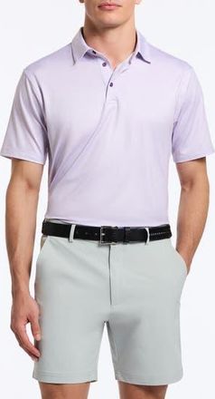 Robert Graham Hyde Textired Performance Golf Polo in Lavender at Nordstrom Rack, Size Xxx-Large