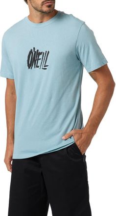 O'Neill Classic Cotton Graphic T-Shirt in Stone Blue at Nordstrom, Size Xx-Large