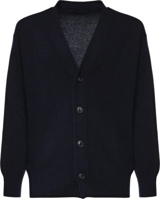 Fay Truien & Vesten, Heren, Blauw, L, Wol, V-hals Knopenvest