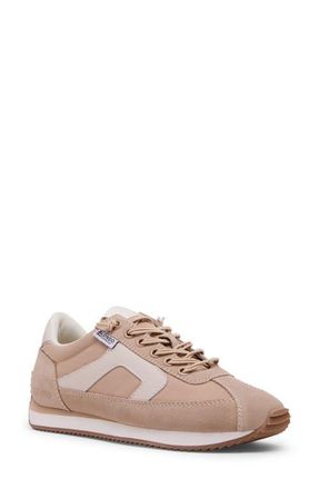 Blondo Emara Waterproof Sneaker in Almond Suede at Nordstrom, Size 8.5