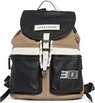 Longchamp 3D Colorblock Backpack in Brown at Nordstrom Rack