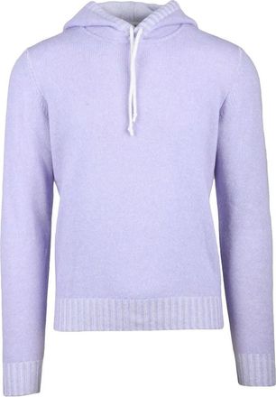 Darwin Wisteria Virgin Wool Mens Hooded Sweater