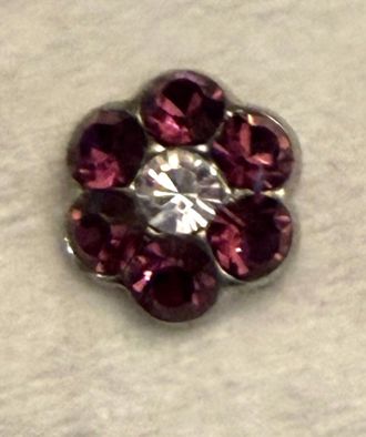 Mariana Womens Studs Earrings In Purple/ Clear