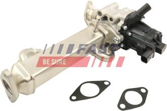 OEM V&aacute;lvula Egr Ft60250 R&aacute;pida