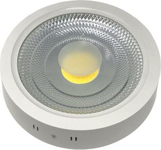 Trade Shop Trade Shop Traesio - Trade Shop - Plafoniera Led Cob 25 Watt Montaggio A Soffitto Luce Calda Fredda Naturale