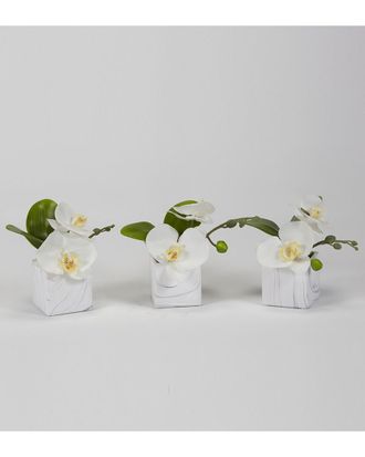 D&W Silks Dw Silks Floral Arrangement