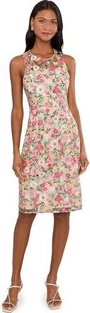 Adrianna Papell Floral Short Dress Womens Dress Coral : 12, Polyester