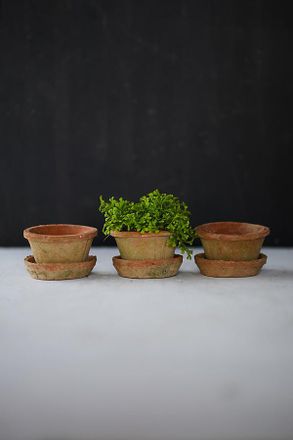 Terrain Earth Fired Clay Thin Rim Pot + Saucer, Set of 3