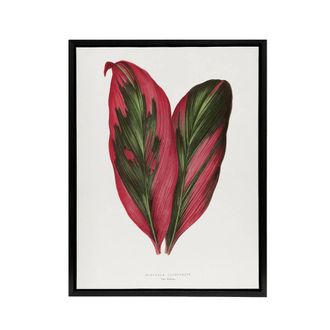 Artery8 AF Lydon B Fawcett Pink Dracaena Terminalis Leaf Framed Canvas Art in White | Size: W24 x H32