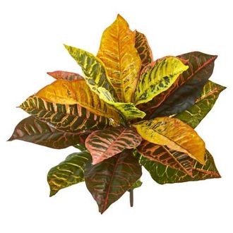Nearly Natural 21-in Garden Croton Artificial Plant in Mixed at Nordstrom