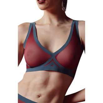 EBY Sheer Mesh Bralette in Cabernet at Nordstrom, Size Medium D