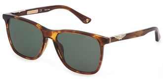 Police SPL872N ORIGINS 1 06HN Mens Sunglasses Brown Size 56