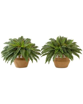Nearly Natural Set Of Two 23In Artificial Boston Fern Plants With Handmade Tassel Basket Diy Kit