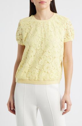 Tahari by ASL Lace Front Sweater in Buttercup at Nordstrom, Size X-Large P
