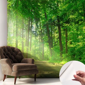 Tulup Fotomurale Adesivo - Parete Decorativa - Decorazione Casa - Stile Moderno Parete - Sentiero Nel Bosco 250x250 Cm