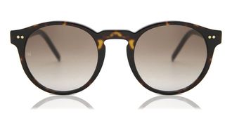 Tommy Hilfiger TH 1795/S 086/HA Mens Sunglasses Tortoiseshell Size 50