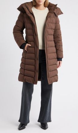 BCBGeneration Water Resistant Hooded Puffer Jacket in Espresso at Nordstrom, Size X-Small