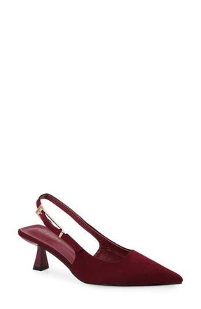 Berness Cassandra Kitten Heel Pump in Wine at Nordstrom Rack, Size 7.5