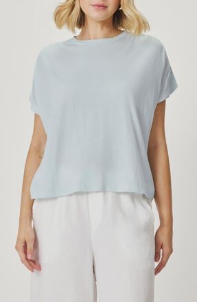 Splendid Rebecca Shirred Sleeve Cotton Blend T-Shirt in Country Air Blue at Nordstrom, Size X-Large