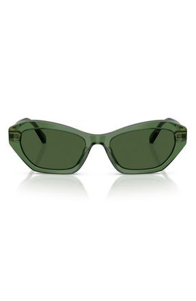 Swarovski 54mm Cat Eye Sunglasses in Transparent Green /Dark Green at Nordstrom