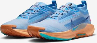 Nike Pegasus TrailGORE-TEX FQ0908-400 Men Blue Trail Running Shoes HAM792
