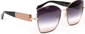 Ana Hickmann Sunglasses AH3280 09A 60