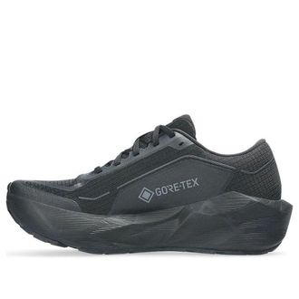 Asics Novablast 6 Gore Tex Black Graphite Grey 1011C256-001