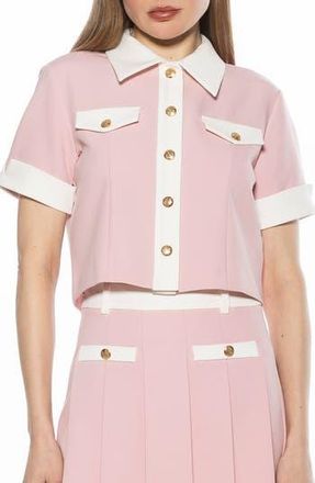 Alexia Admor Emery Collared Button-Up Shirt in Pink at Nordstrom Rack, Size 14
