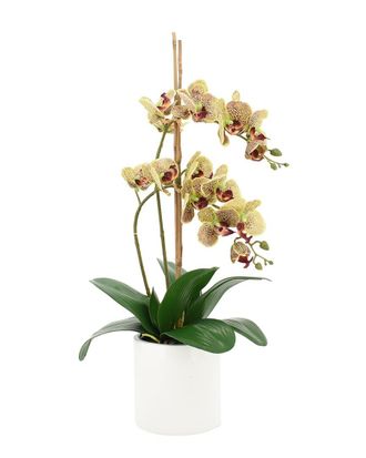 Creative Displays Inc. Orchid Arrangement In Ceramic Pot With Stones