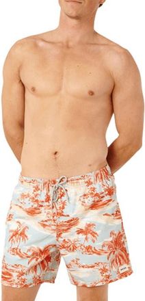 Rip Curl Dreamers 16-Inch Volley Swim Trunks in Spray Blue at Nordstrom, Size Xxx-Large