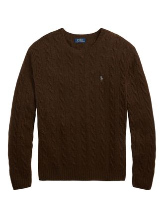 Polo Ralph Lauren Langarmpullover