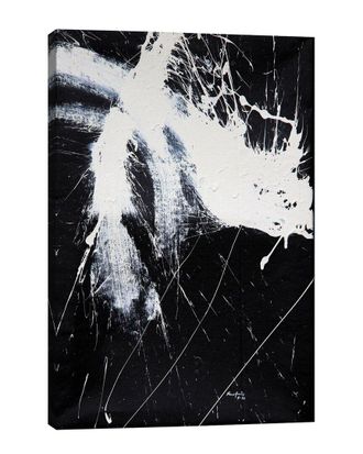 iCanvas Icanvas Black & White By Shawn Jacobs Wall Art