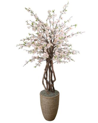 Creative Displays Inc. Cherry Blossom & Dragon Wood Tree In Rope Pot