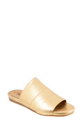 Softwalk Camano Slide Sandal in Gold at Nordstrom, Size 10.5