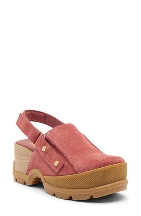 Sorel ROAMN RBR Clog in Sandy Clay/Gum at Nordstrom, Size 7.5